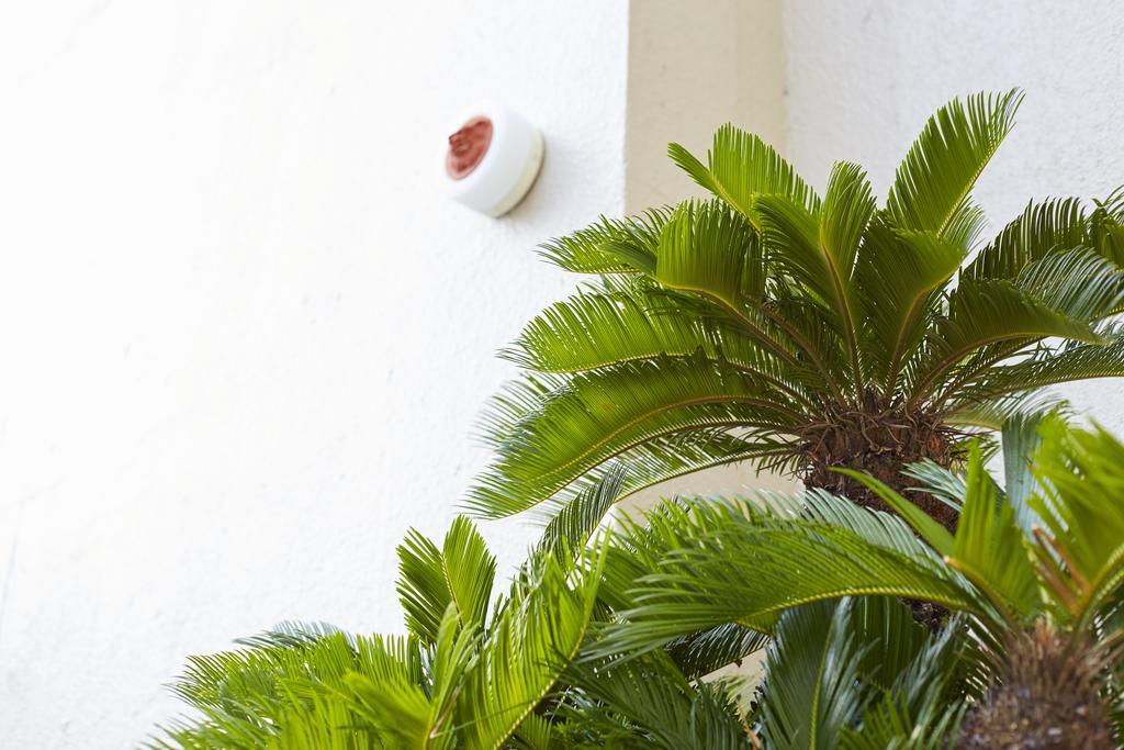 Okinawa Sun Plaza Hotel Naha Exterior foto